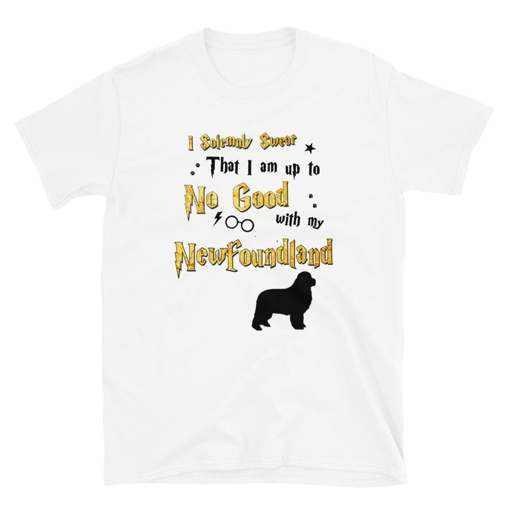 I Solemnly Swear Shirt - Newfoundland T-Shirt