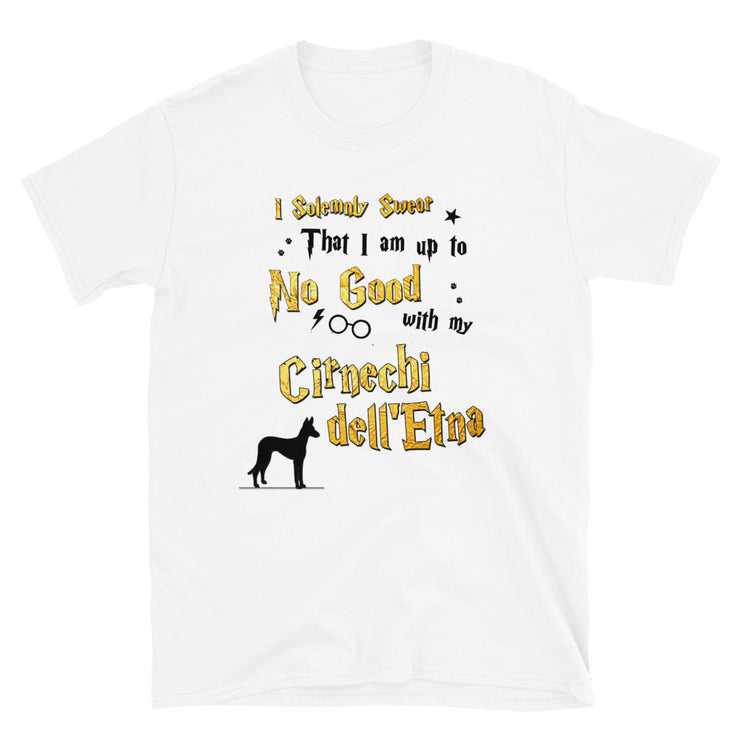 I Solemnly Swear Shirt - Cirnechi dell Etna T-Shirt