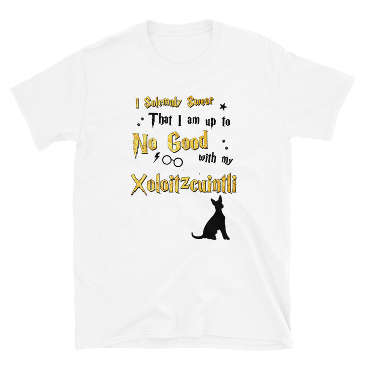 I Solemnly Swear Shirt - Xoloitzcuintli T-Shirt