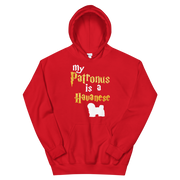 Havanese Hoodie -  Patronus Unisex Hoodie