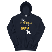 Briard Hoodie -  Patronus Unisex Hoodie