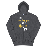 Harrier Hoodie -  Patronus Unisex Hoodie