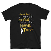 I Solemnly Swear Shirt - Norfolk Terrier Shirt