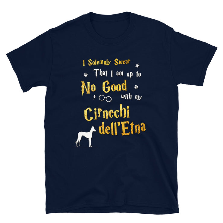 I Solemnly Swear Shirt - Cirnechi dell Etna Shirt
