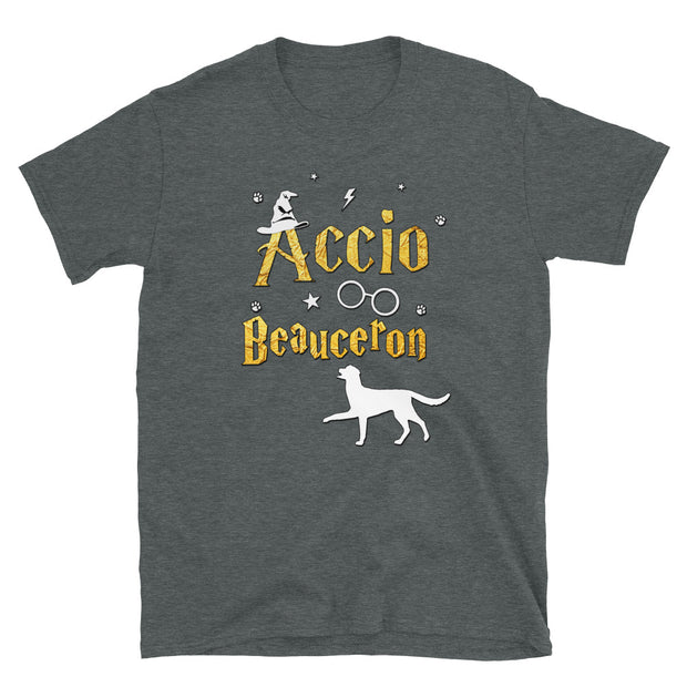Accio Beauceron T Shirt