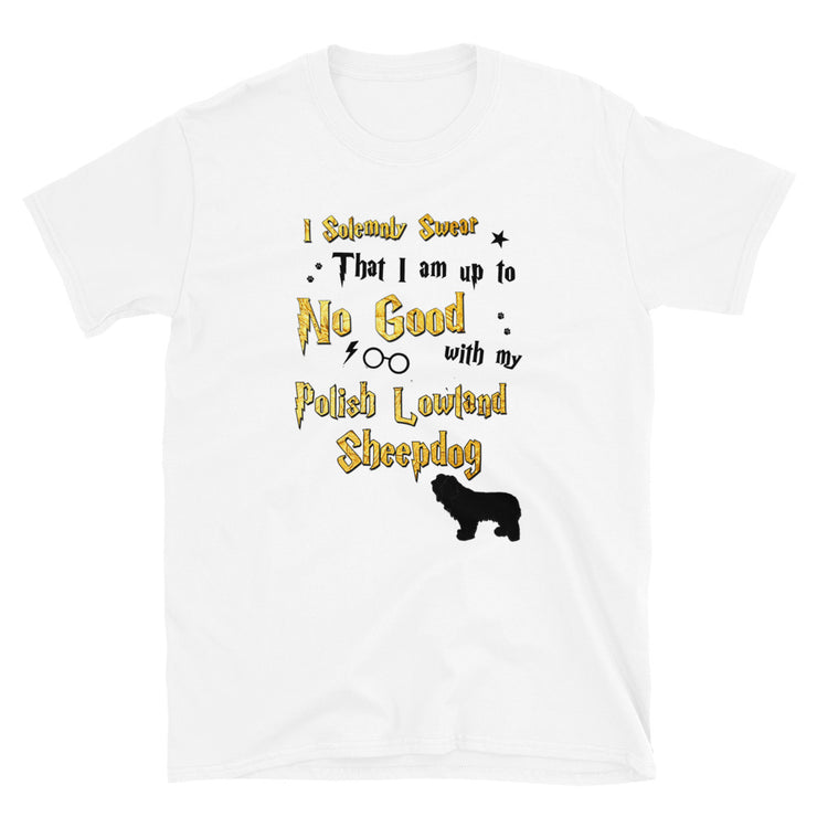 I Solemnly Swear Shirt - Polish Lowland Sheepdog T-Shirt