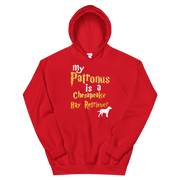 Chesapeake Bay Retriever Hoodie -  Patronus Unisex Hoodie