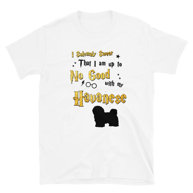 I Solemnly Swear Shirt - Havanese T-Shirt