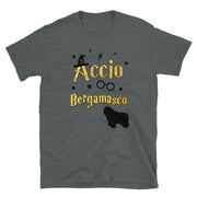 Accio Bergamasco T Shirt - Unisex