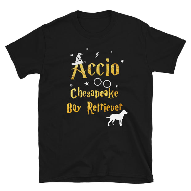 Accio Chesapeake Bay Retriever T Shirt