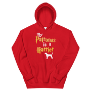 Harrier Hoodie -  Patronus Unisex Hoodie