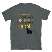 I Solemnly Swear Shirt - Briard T-Shirt
