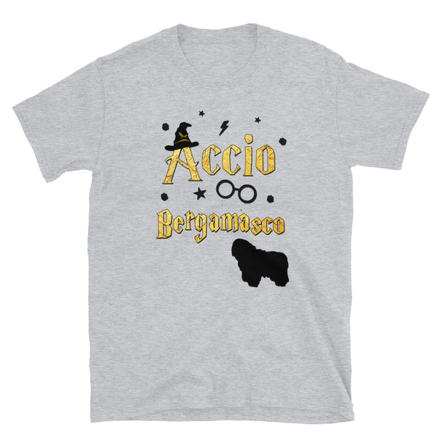 Accio Bergamasco T Shirt - Unisex