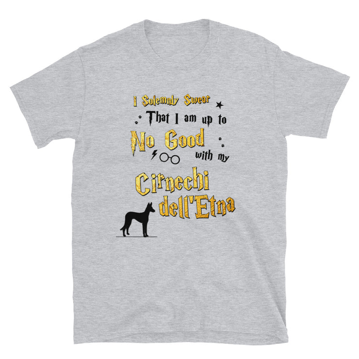 I Solemnly Swear Shirt - Cirnechi dell Etna T-Shirt