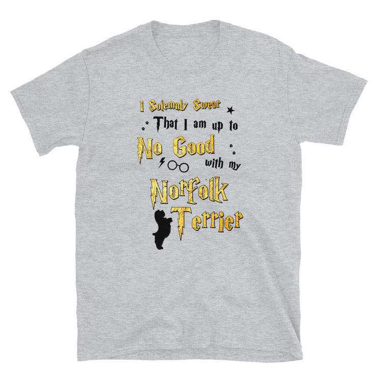 I Solemnly Swear Shirt - Norfolk Terrier T-Shirt