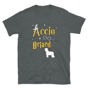 Accio Briard T Shirt