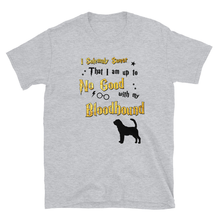 I Solemnly Swear Shirt - Bloodhound T-Shirt