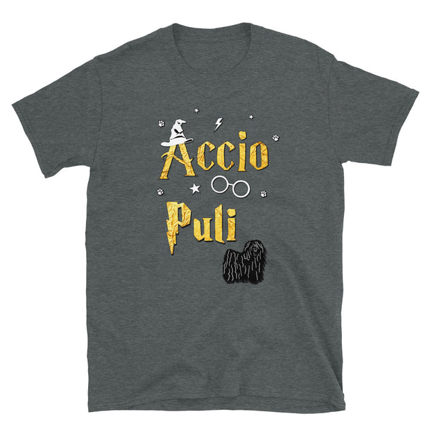Accio Puli T Shirt - Unisex
