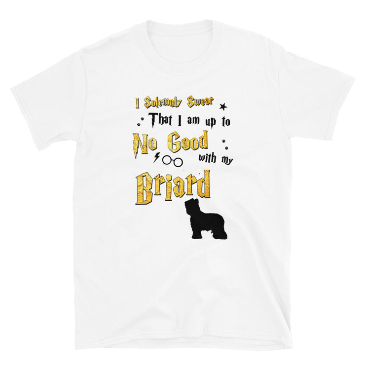 I Solemnly Swear Shirt - Briard T-Shirt