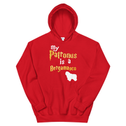 Bergamasco Hoodie -  Patronus Unisex Hoodie