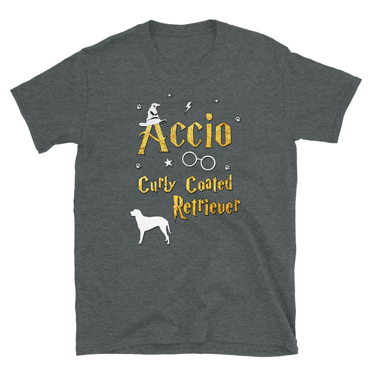 Accio Curly Coated Retriever T Shirt