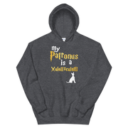 Xoloitzcuintli Hoodie -  Patronus Unisex Hoodie