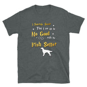I Solemnly Swear Shirt - Irish Setter Shirt