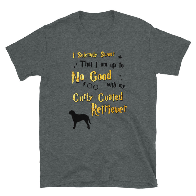 I Solemnly Swear Shirt - Curly Coated Retriever T-Shirt