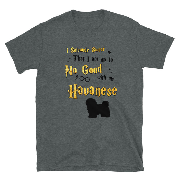 I Solemnly Swear Shirt - Havanese T-Shirt