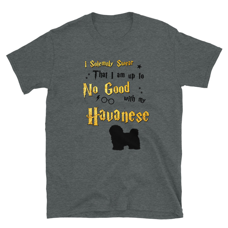 I Solemnly Swear Shirt - Havanese T-Shirt