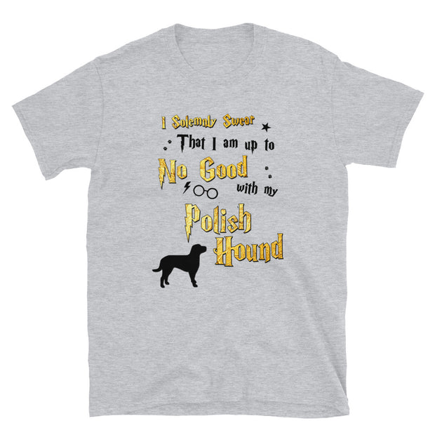 I Solemnly Swear Shirt - Polish Hound T-Shirt