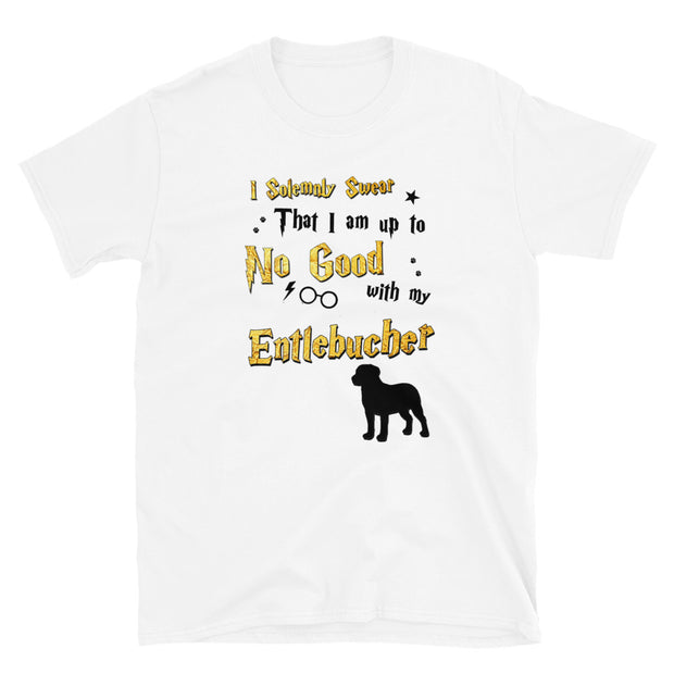 I Solemnly Swear Shirt - Entlebucher T-Shirt