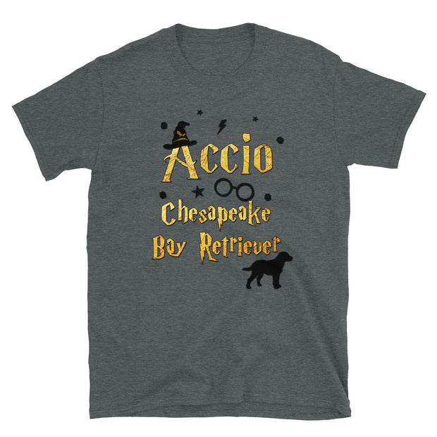 Accio Chesapeake Bay Retriever T Shirt - Unisex