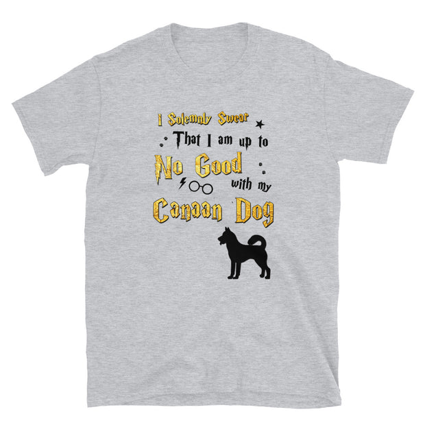 I Solemnly Swear Shirt - Canaan Dog T-Shirt