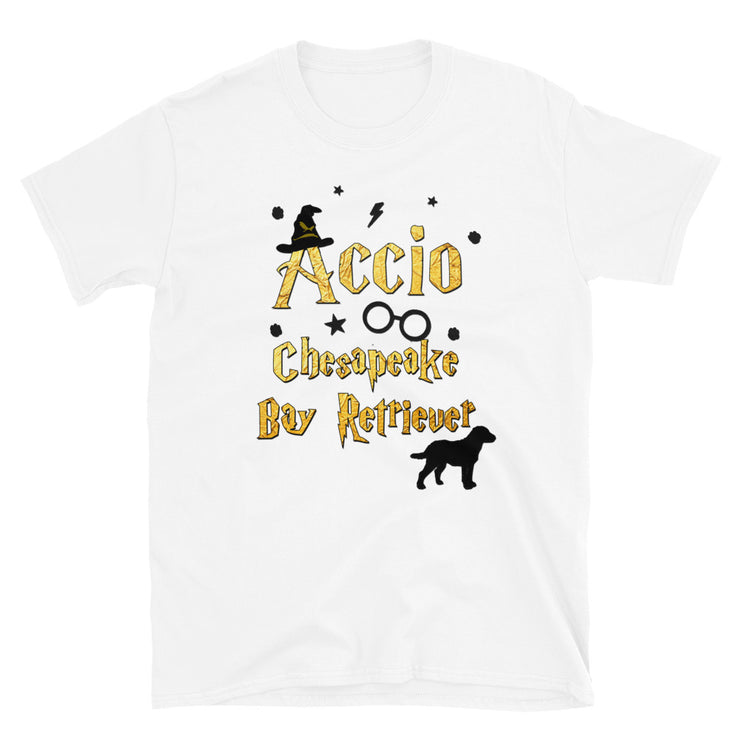 Accio Chesapeake Bay Retriever T Shirt - Unisex